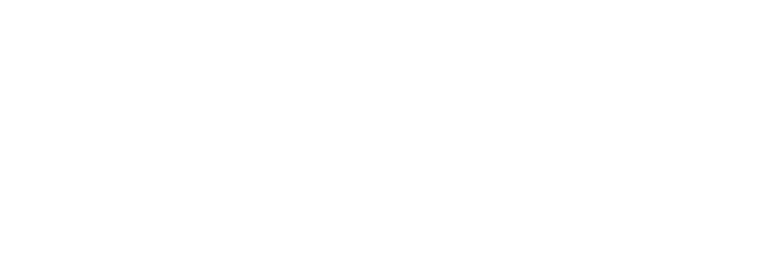 A Little Happiness Living with Succulents 多肉植物と暮らす、小さな幸せ。